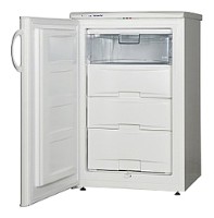 Refrigerator Snaige F100-1101A larawan