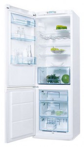 Refrigerator Electrolux ERB 36402 W larawan