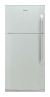 Refrigerator BEKO DN 150100 larawan