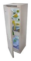 Tủ lạnh Snaige RF34SM-S1L101 ảnh