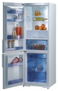 Refrigerator Gorenje RK 65325 W larawan