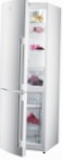 Gorenje RK 65 SYW-F1 Холодильник