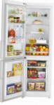 Samsung RL-43 TRCSW Tủ lạnh