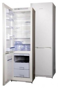 Refrigerator Snaige RF39SH-S10001 larawan