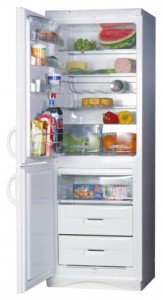 Refrigerator Snaige RF310-1803A larawan