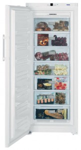 Холодильник Liebherr GN 3613 фото