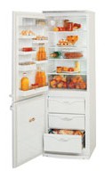 Tủ lạnh ATLANT МХМ 1817-23 ảnh