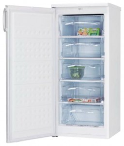 Холодильник Hansa FZ206.3 фото
