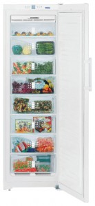 Refrigerator Liebherr SGN 3010 larawan