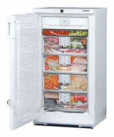Tủ lạnh Liebherr GSN 2026 ảnh