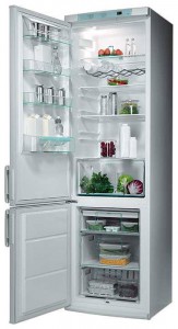Refrigerator Electrolux ERB 9048 larawan