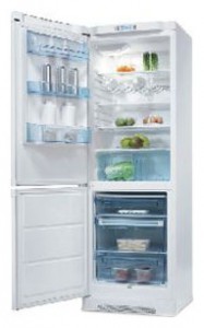 Refrigerator Electrolux ERB 34402 W larawan