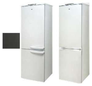 Refrigerator Exqvisit 291-1-810,831 larawan