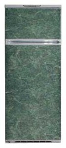 Refrigerator Exqvisit 214-1-С9/1 larawan