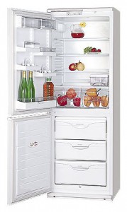 Tủ lạnh ATLANT МХМ 1809-14 ảnh