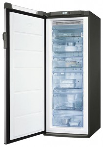 Buzdolabı Electrolux EUF 20430 X fotoğraf