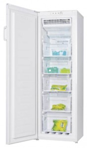 Холодильник LGEN TM-169 FNFW фото