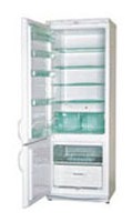 Tủ lạnh Snaige RF315-1513A GNYE ảnh