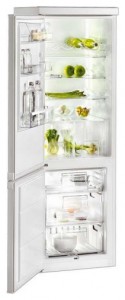 Refrigerator Zanussi ZRB 36 NC larawan