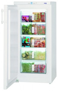 Tủ lạnh Liebherr G 2033 ảnh