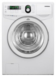 वॉशिंग मशीन Samsung WF1702YQC तस्वीर