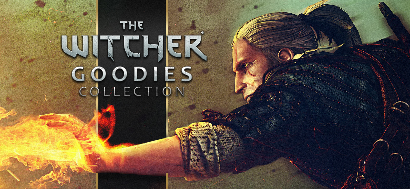The Witcher - Goodies Collection GOG CD Key USD 2.54