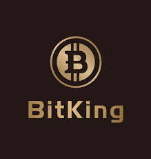 Нове онлайн казино BitKing