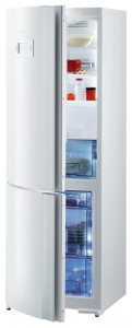 Холодильник Gorenje RK 67325 W фото