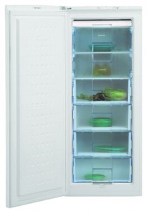 Tủ lạnh BEKO FSA 21300 ảnh