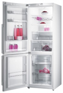 Холодильник Gorenje RK 65 SYX фото