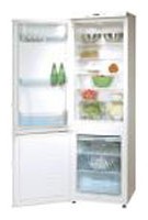 Refrigerator Hansa RFAK313iMA larawan