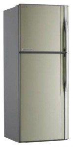 Холодильник Toshiba GR-R51UT-C (CZ) Фото