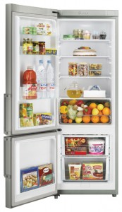 Холодильник Samsung RL-29 THCMG фото