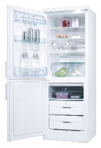 Refrigerator Electrolux ERB 31099 W larawan