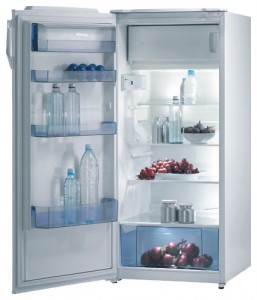 Ψυγείο Gorenje RB 41208 W φωτογραφία