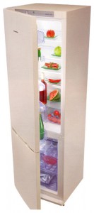 Tủ lạnh Snaige RF36SM-S1BA01 ảnh