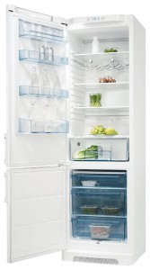 Refrigerator Electrolux ERB 39310 W larawan