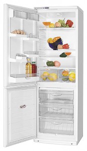 Tủ lạnh ATLANT ХМ 6019-028 ảnh