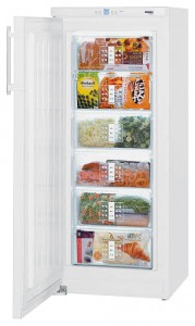 Tủ lạnh Liebherr G 2433 ảnh
