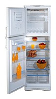 Холодильник Stinol R 36 NF фото