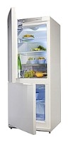 Tủ lạnh Snaige RF27SM-S10021 ảnh
