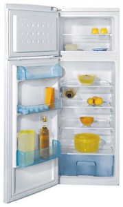 Холодильник BEKO DSA 25010 Фото