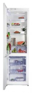 Tủ lạnh Snaige RF39SM-S10001 ảnh