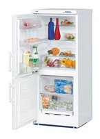 Холодильник Liebherr CU 2221 Фото