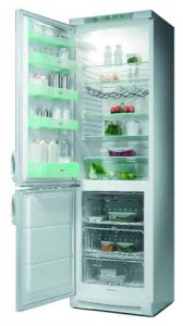 Tủ lạnh Electrolux ERB 8642 ảnh