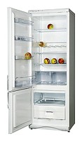 Tủ lạnh Snaige RF315-1T03А ảnh