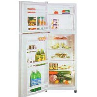 Refrigerator Daewoo Electronics FR-251 larawan