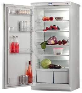 Tủ lạnh Pozis Свияга 513-3 ảnh