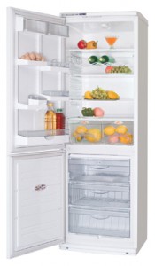 ตู้เย็น ATLANT ХМ 5091-016 รูปถ่าย