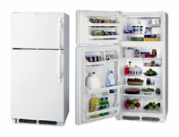 Холодильник Frigidaire FGTG 16V6 A Фото
